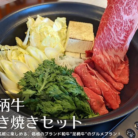 Willa 和光荘 Harmonious Light West Hakone Zewnętrze zdjęcie
